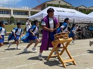 IMG_2855 IMG_2855
