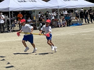 IMG_2884 IMG_2884