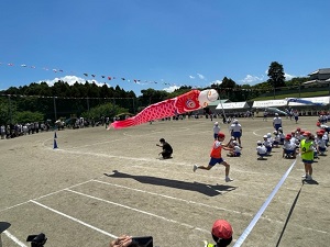 IMG_2895 IMG_2895