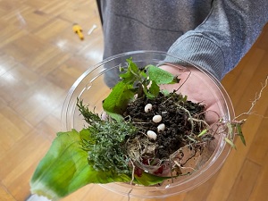 IMG_2933 IMG_2933