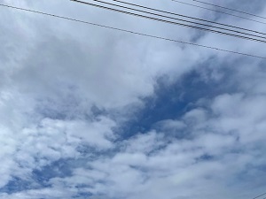 IMG_3008 (1) IMG_3008 (1)