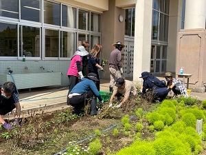 IMG_3107 IMG_3107