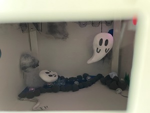 IMG_3207 IMG_3207