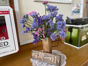 IMG_3195 IMG_3195