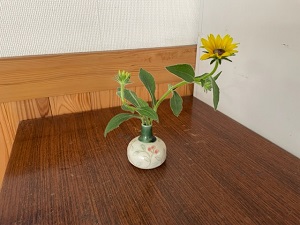 IMG_3272 IMG_3272