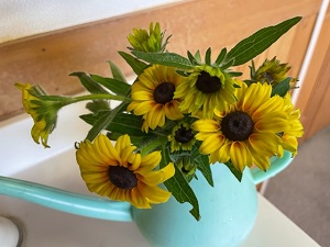 IMG_3274 IMG_3274