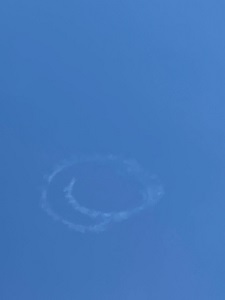 IMG_3799 IMG_3799