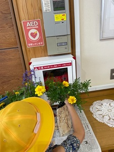 IMG_3892 IMG_3892