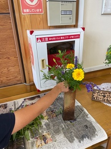 IMG_3895 IMG_3895