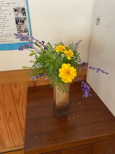 IMG_3896 IMG_3896
