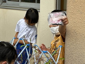 IMG_3948 IMG_3948