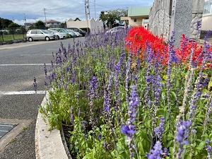 IMG_3983 IMG_3983