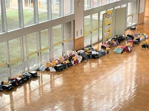 IMG_3981 IMG_3981