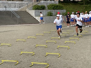 IMG_3996 IMG_3996
