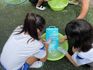IMG_3971 IMG_3971