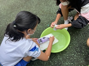 IMG_3974 IMG_3974