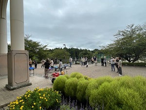 IMG_4044 (1) IMG_4044 (1)