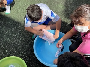 IMG_4072 IMG_4072