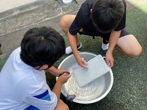 IMG_4073 IMG_4073