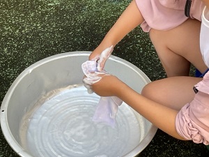 IMG_4074 IMG_4074