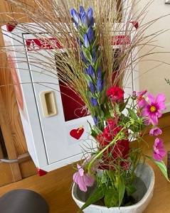 IMG_3980 IMG_3980