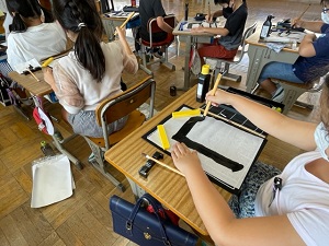 IMG_4229 IMG_4229