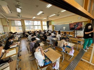 IMG_4246 IMG_4246