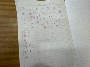 IMG_4249 IMG_4249