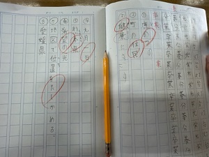 IMG_4251 IMG_4251