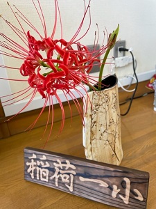 IMG_4256 IMG_4256
