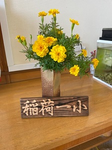 IMG_4364 IMG_4364