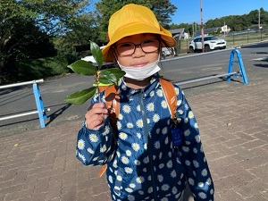 IMG_4411 IMG_4411