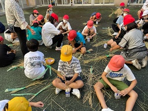 IMG_4517 IMG_4517