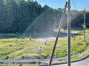 IMG_4529 IMG_4529