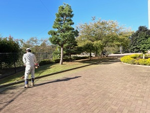 IMG_4530 IMG_4530