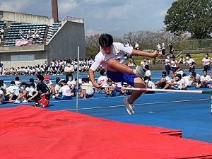 IMG_4611 IMG_4611