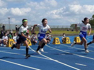 IMG_4642 IMG_4642