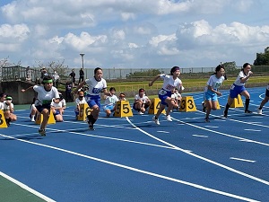 IMG_4650 IMG_4650
