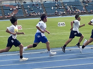 IMG_4702 IMG_4702