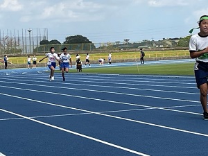 IMG_4704 IMG_4704