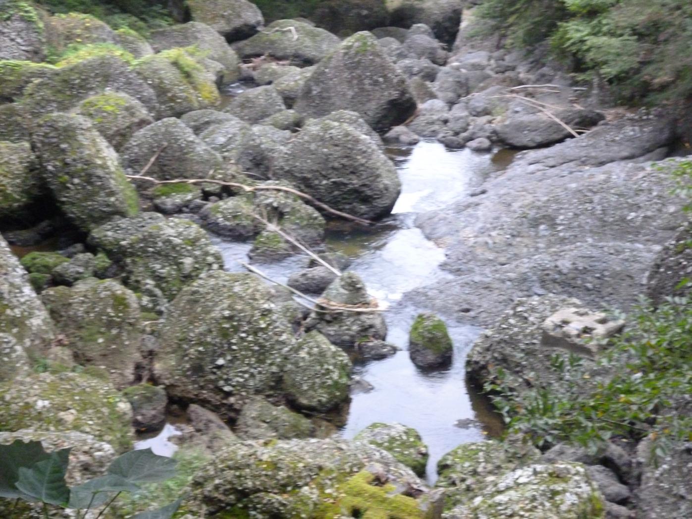 渓流 渓流