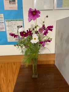 IMG_4802 IMG_4802