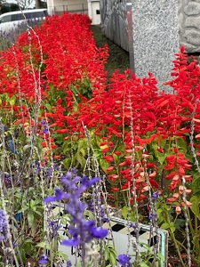 IMG_4838 IMG_4838