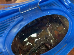 IMG_4959 IMG_4959