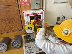 IMG_4972 (1) IMG_4972 (1)