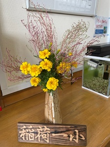 IMG_4975 IMG_4975