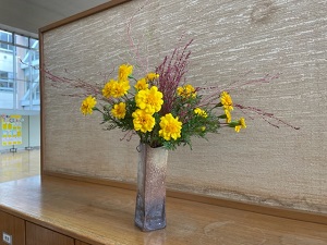 IMG_4976 IMG_4976