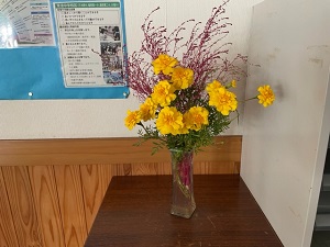IMG_5286 IMG_5286