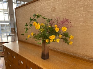 IMG_5287 IMG_5287
