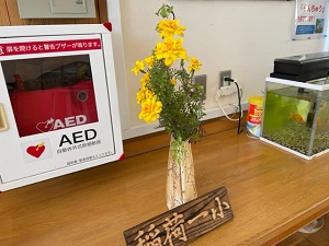 IMG_5288 IMG_5288